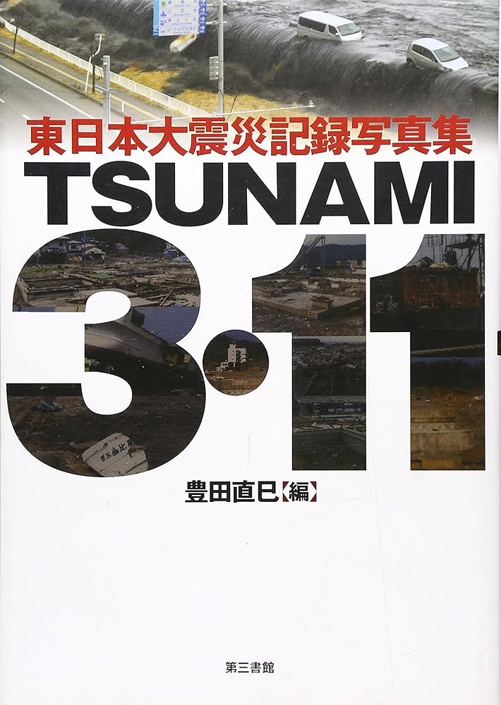 TSUNAMI 3.11