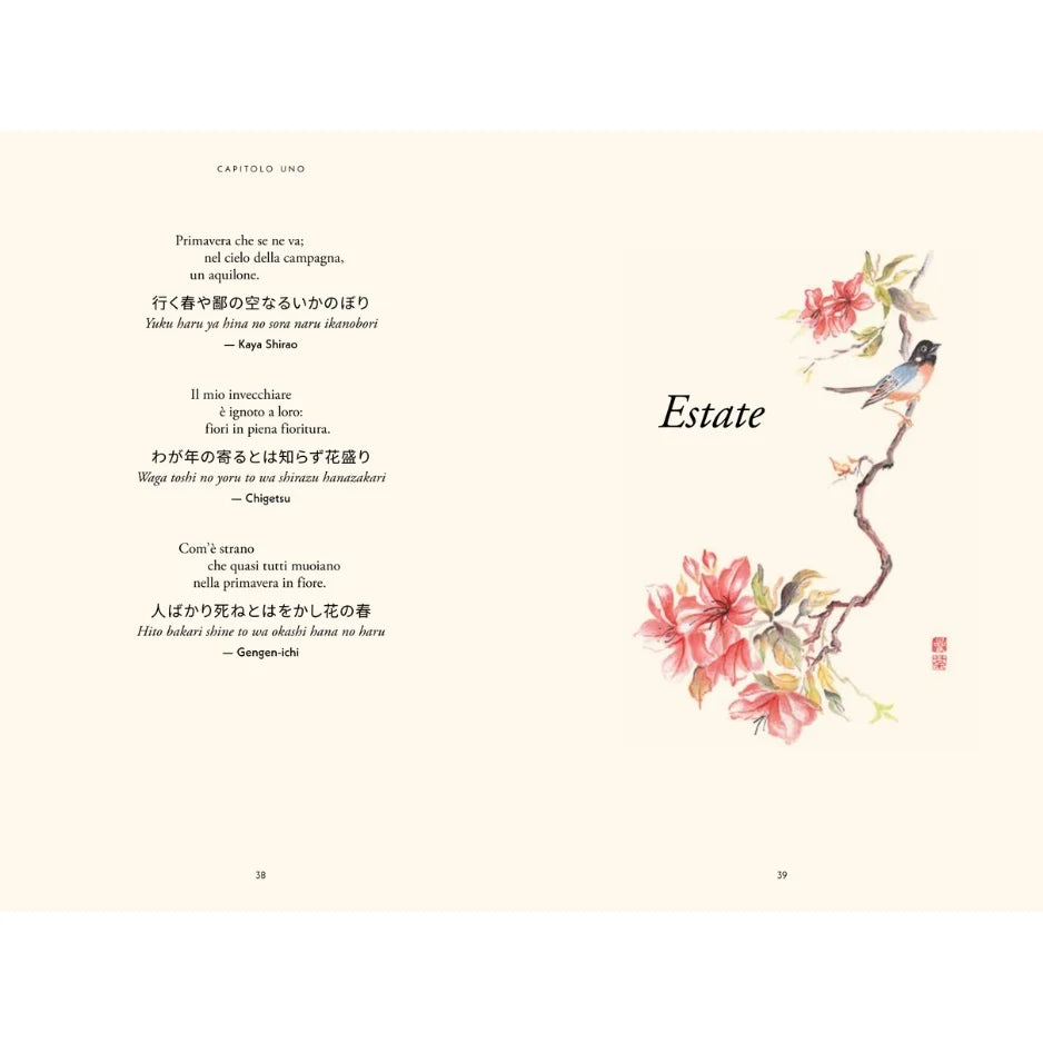 il libro illustrato degli HAIKU