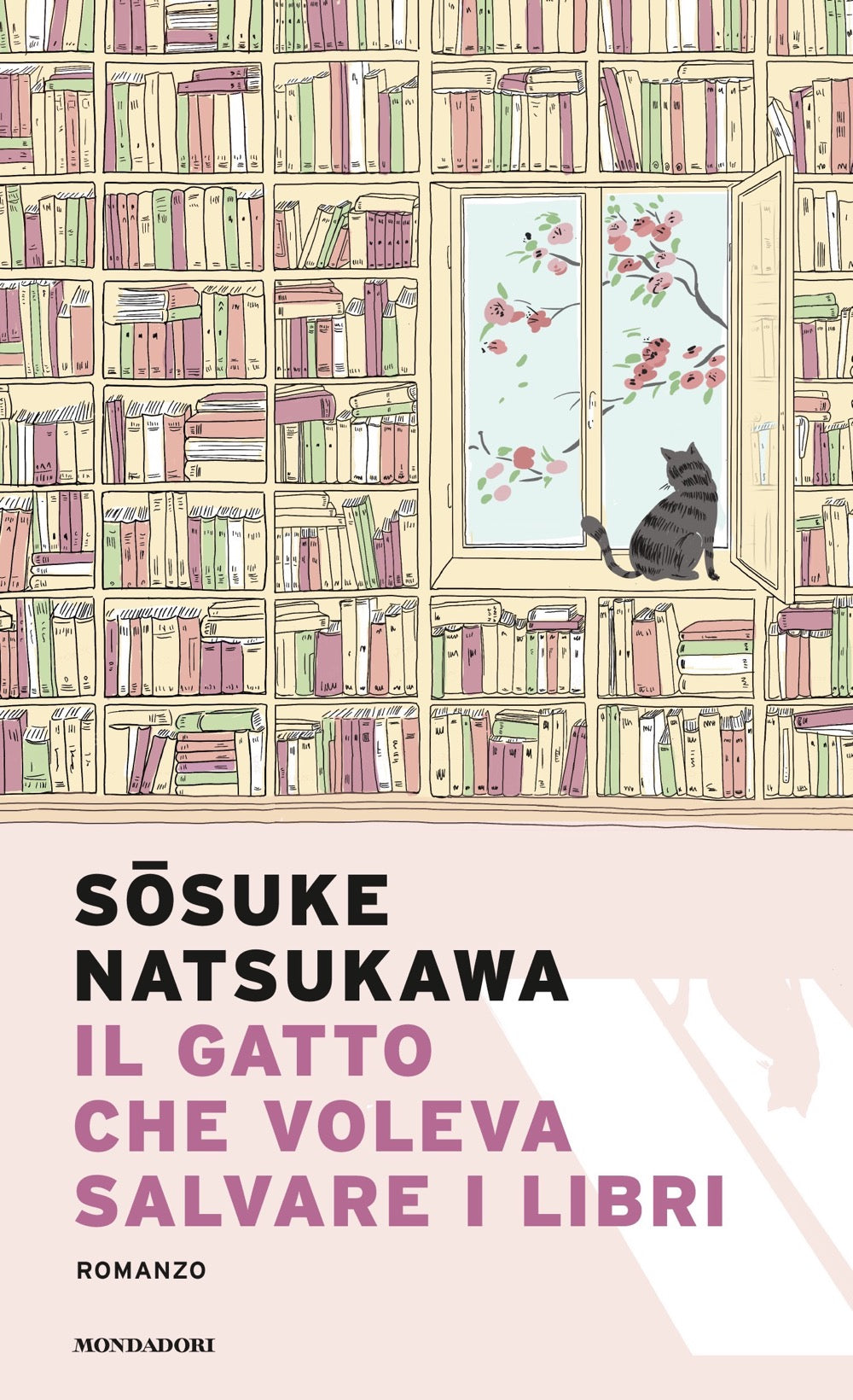 IL GATTO CHE VOLEVA SALVARE I LIBRI