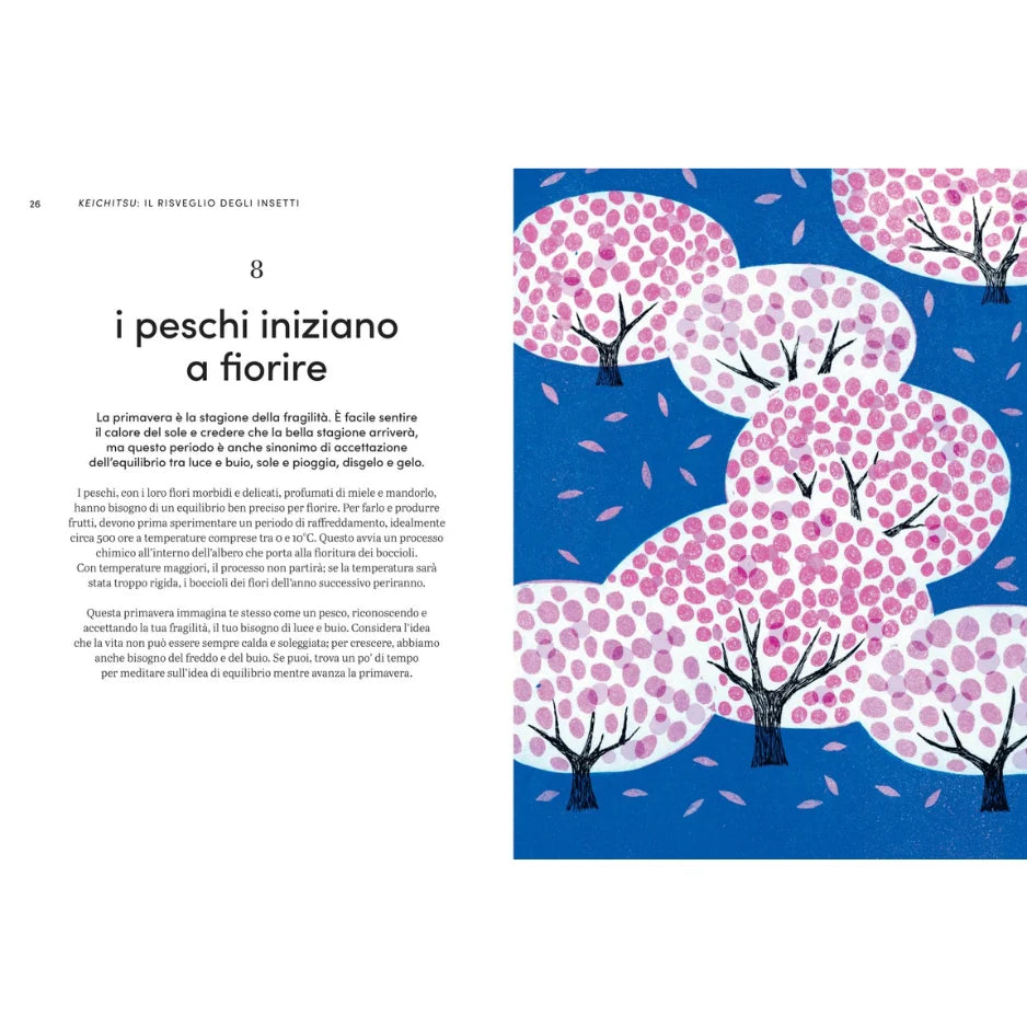 MICRO-STAGIONI GIAPPONESI