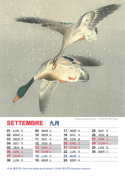 Calendario 2025 _ OHARA KOSON