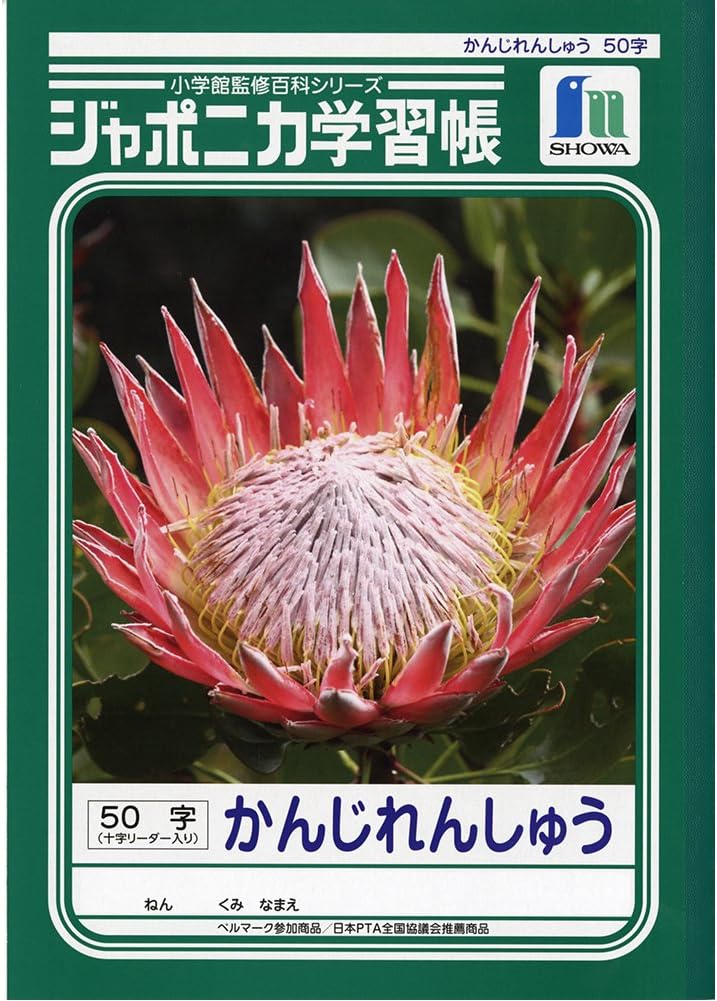 Quaderno di scrittura