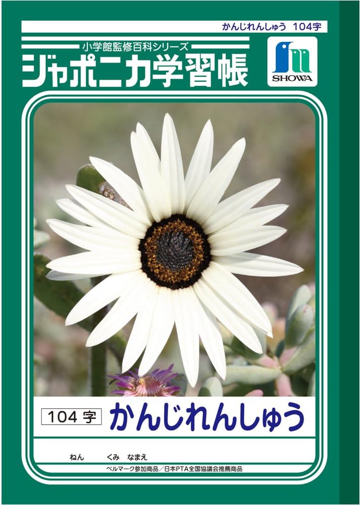 Quaderno di scrittura