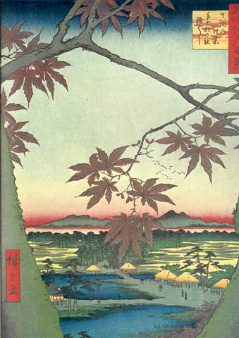 Hiroshige "Gli aceri di MAMA"