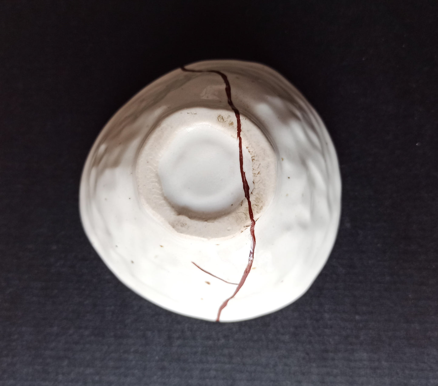 Ciotolina URUSHITSUGI