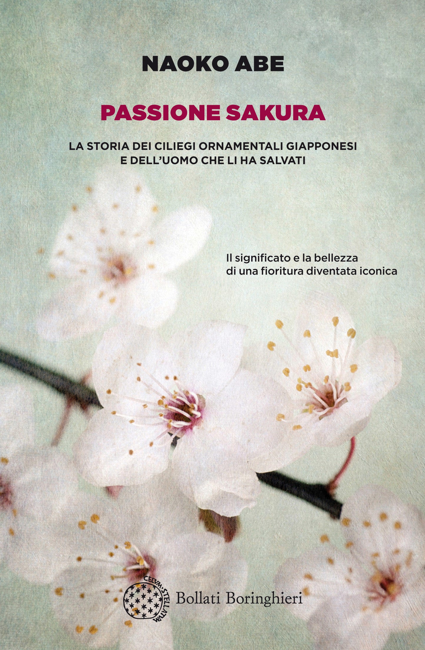 PASSIONE SAKURA