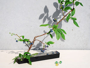 Vaso per ikebana "Shizuka collection" Slim