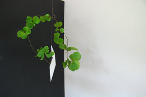 Hanging Vase - bianco