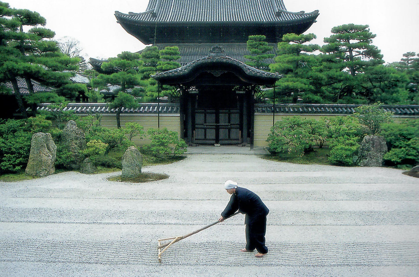 建仁寺の四季  KENNINJI Temple through the four seasons