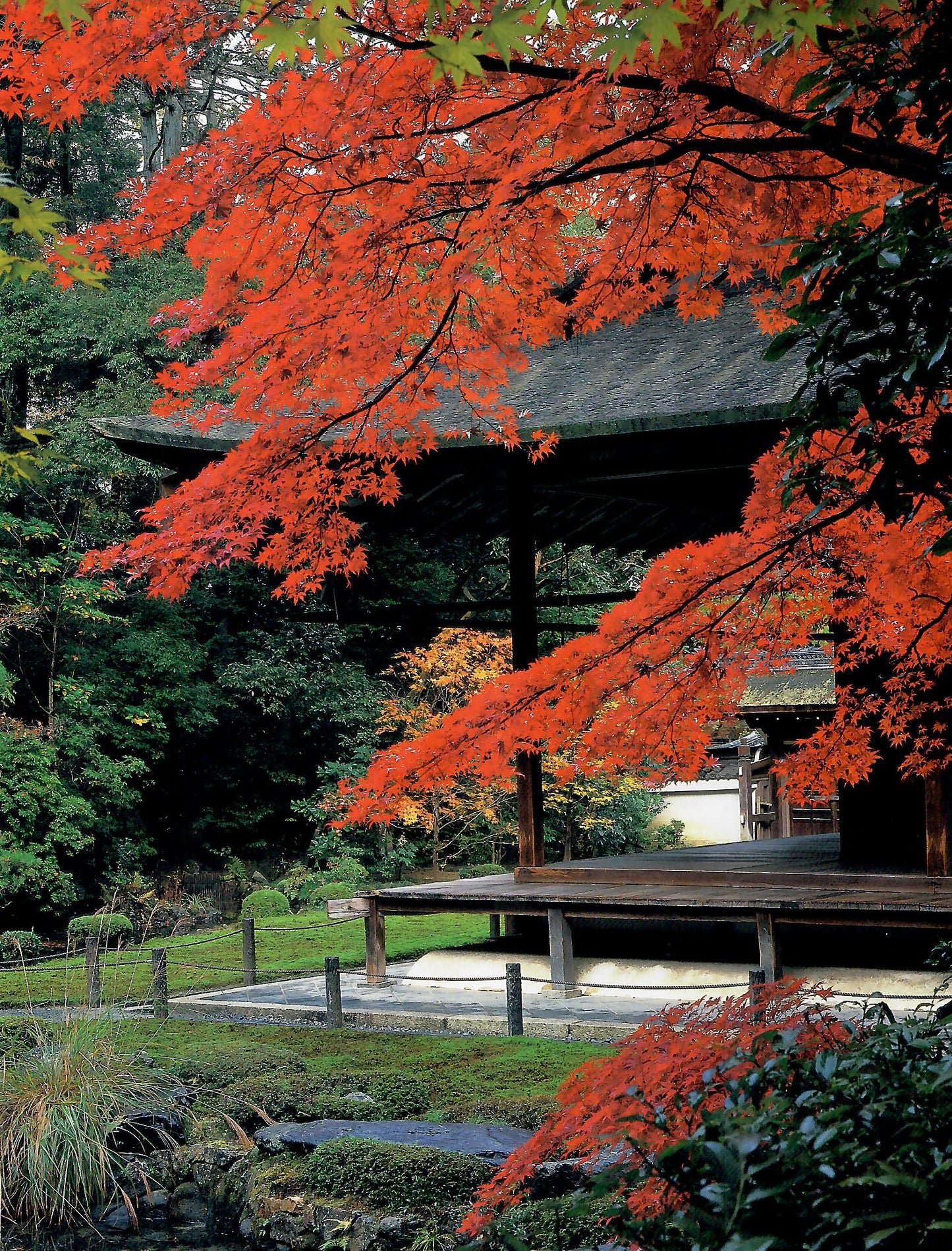 南禅寺の四季 NANZENJI Temple through the four seasons