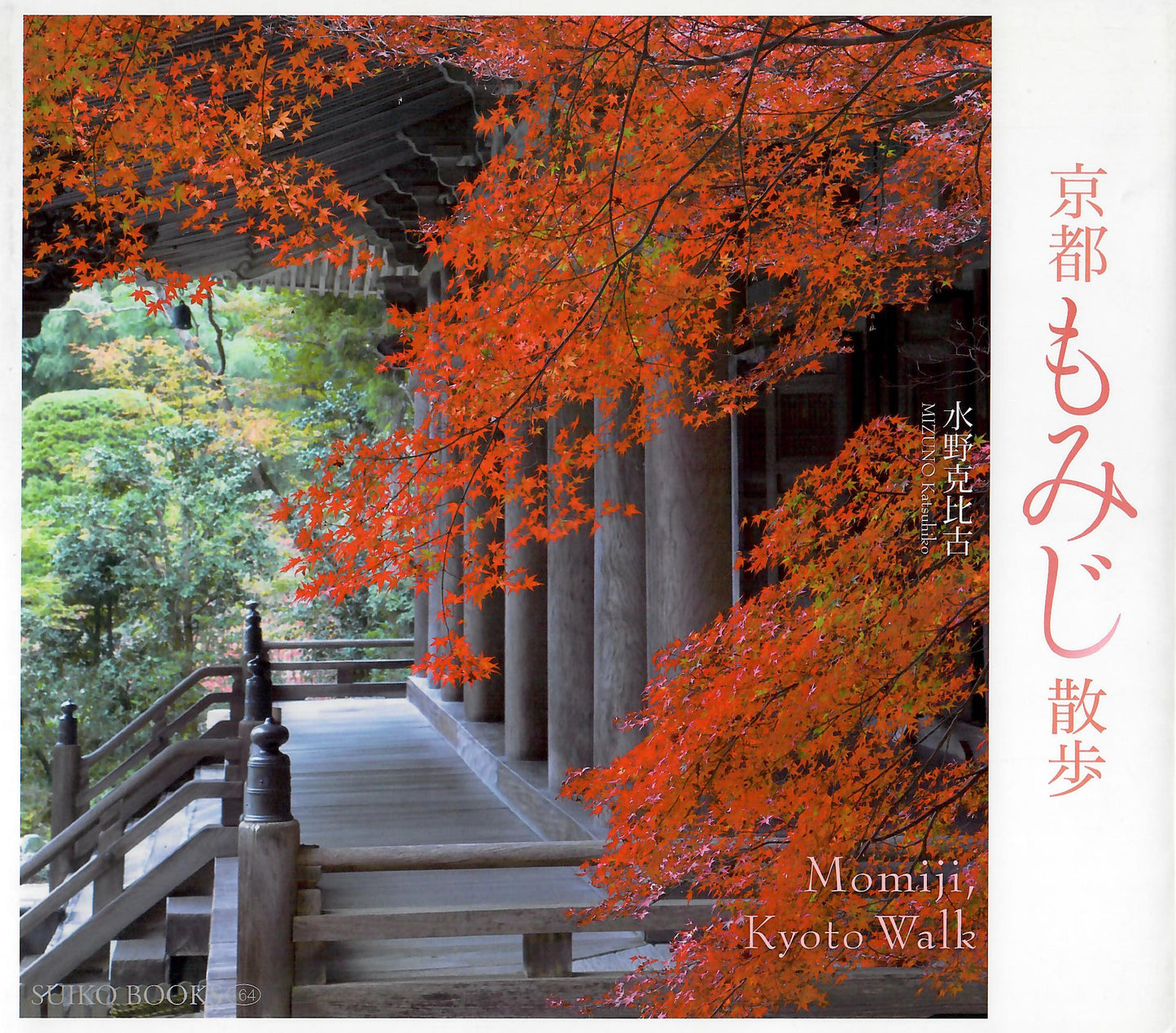 京都もみじ散歩  MOMIJI, Kyoto walk