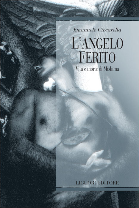 L'angelo ferito