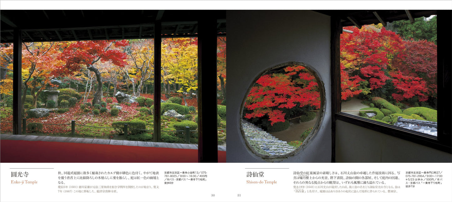 京都もみじ散歩  MOMIJI, Kyoto walk