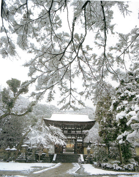 松尾大社の四季  MATSUNOO Grand Shrine through the four seasons