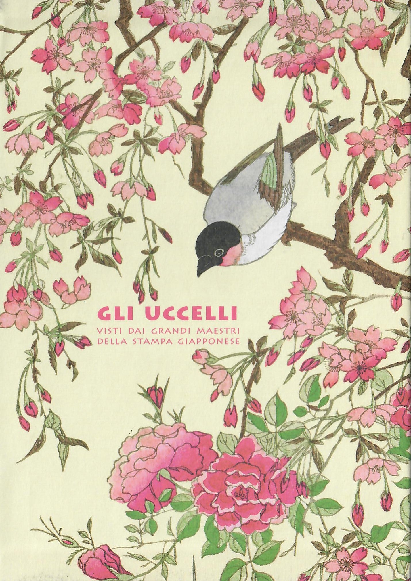 GLI UCCELLI