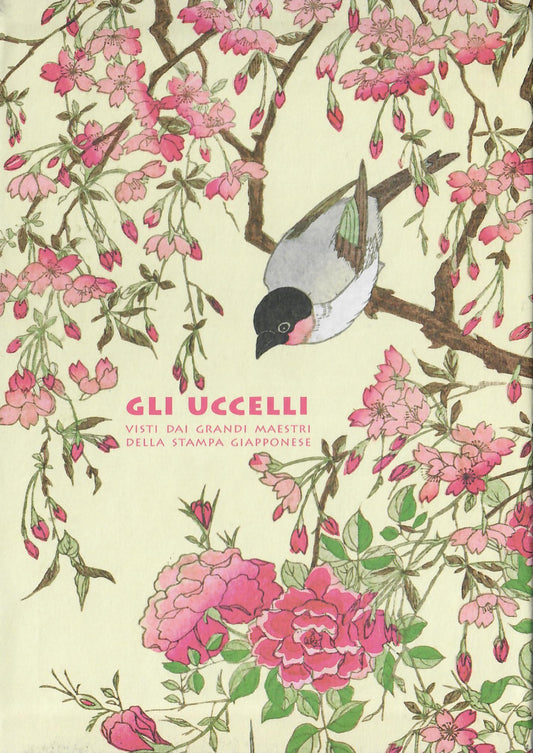 GLI UCCELLI
